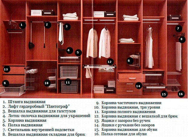 Ильина Вероника Максимовна